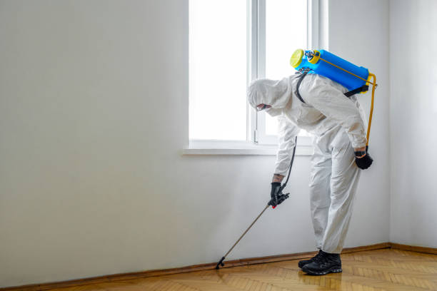 Trusted Lemmon, SD Pest Control Experts