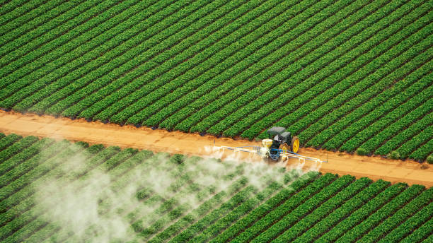 Best Pest Removal Services  in Lemmon, SD