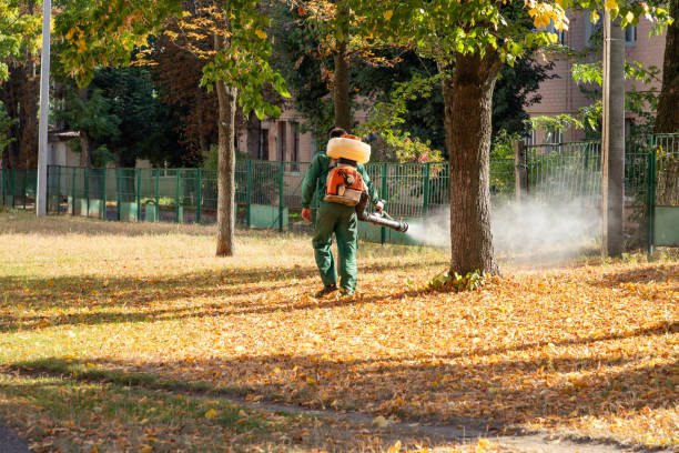 Best Affordable Pest Control Services  in Lemmon, SD