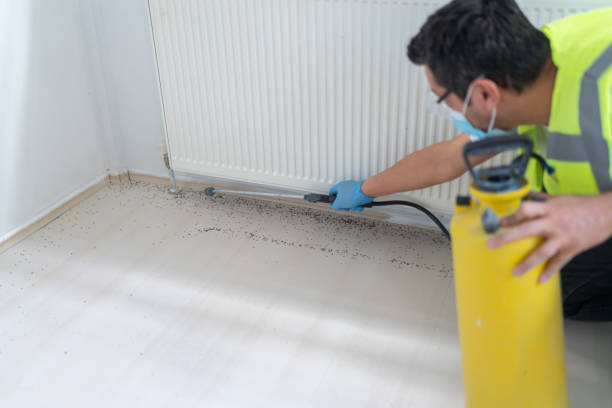 Best Pest Control for Restaurants  in Lemmon, SD